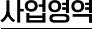 사업영역