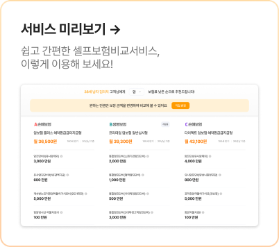 서비스 미리보기