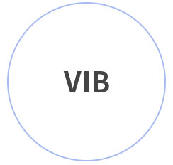 VIB