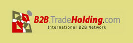 b2btradeholding.cdivm